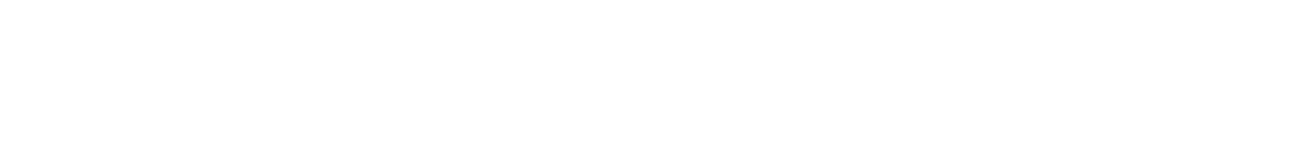 Daily Breathing logo